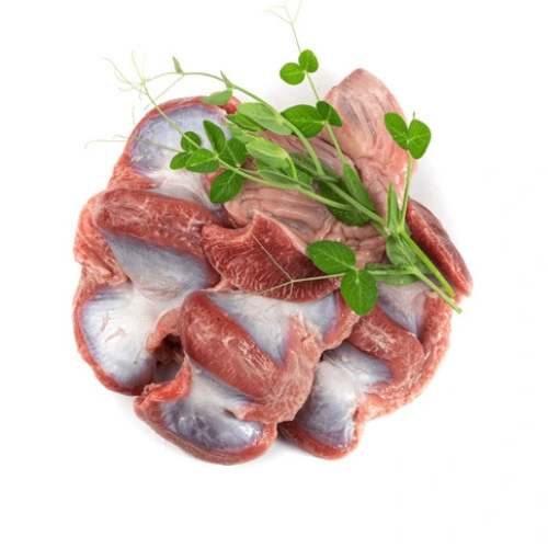 Chicken Gizzard